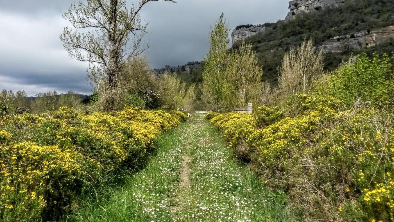 La Casita / Casa De Campo Санта-Гадеа Экстерьер фото